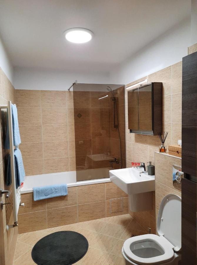 Sorin'S Comfortable Apartment Brasov Luaran gambar