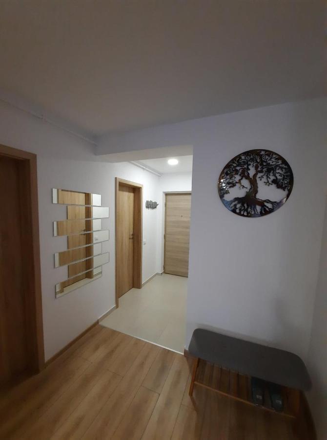 Sorin'S Comfortable Apartment Brasov Luaran gambar